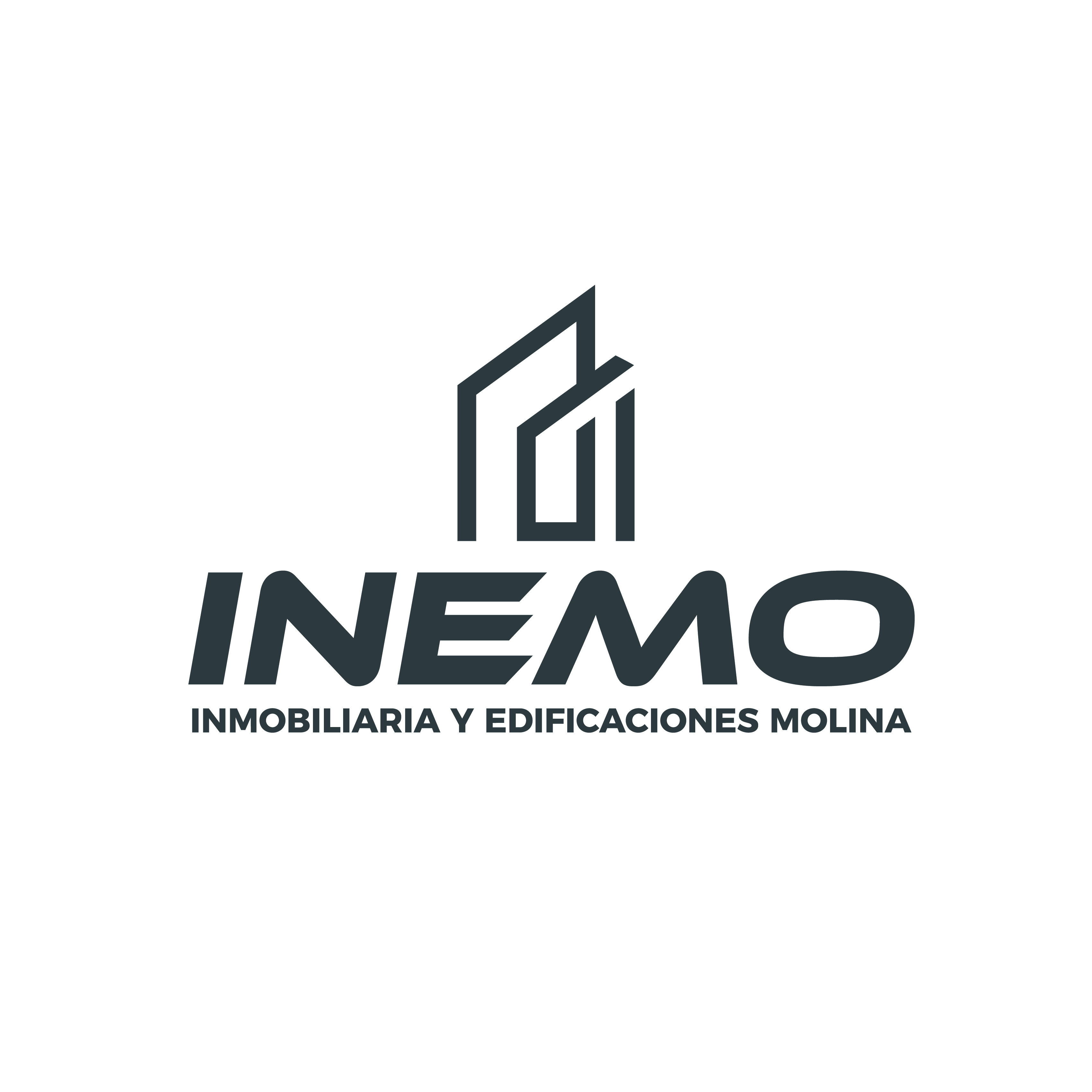 Logo INEMO